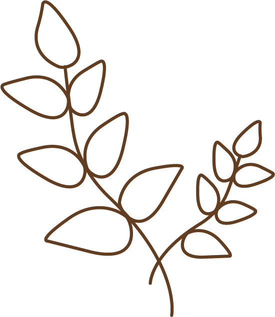 leaves