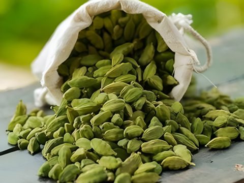 cardamom